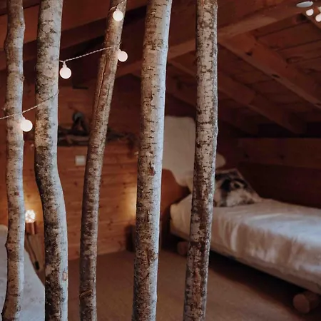 Savoya Lodges, 4 Prives, De 2 A 40 Personnes Alpehytte