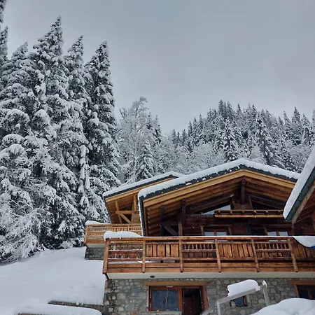 Savoya Lodges, 4 Prives, De 2 A 40 Personnes Châtel