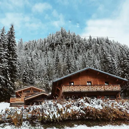 Savoya Lodges, 4 Prives, De 2 A 40 Personnes * Châtel