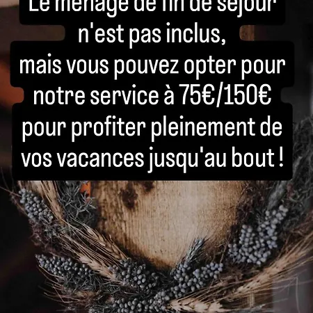 Dağ evi Savoya Lodges, 4 Prives, De 2 A 40 Personnes *