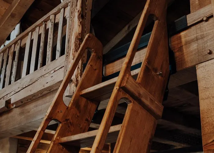 Savoya Chalet Châtel